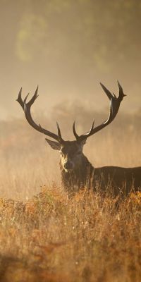 Appel d'offres droit de chasse